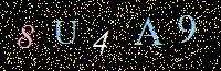 Access Key