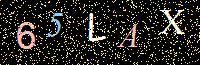 Access Key