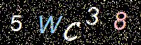 Access Key