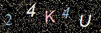 Access Key