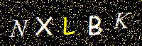 Access Key