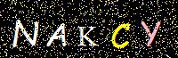 Access Key