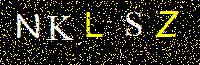 Access Key