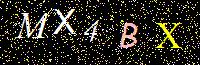 Access Key