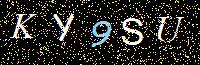 Access Key