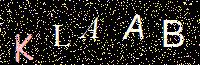 Access Key