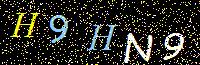Access Key