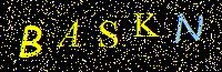 Access Key