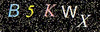 Access Key