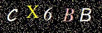 Access Key