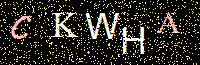 Access Key