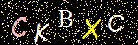 Access Key