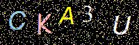 Access Key