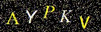 Access Key