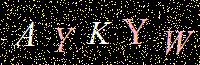 Access Key