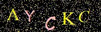 Access Key