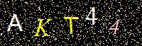 Access Key
