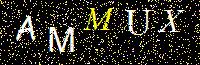 Access Key