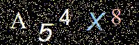 Access Key
