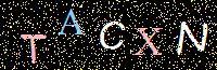 Access Key