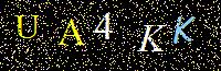 Access Key