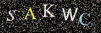 Access Key