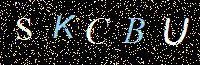 Access Key