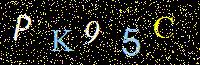 Access Key
