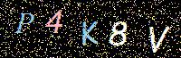 Access Key