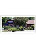 Real Estate Agent Coldwell Banker Lakeview