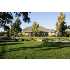 14759 Leroy Ave, Ripon, CA - MLS 80099184