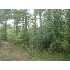 00 Jackson Liberty Rd., Smithdale, MS - MLS 110833