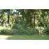 LOT 14 LITTLE PINEY ISLAND, Fernandina Beach, FL - MLS 46441