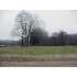 Lot 41 Sycamore Lane, McKenzie, TN - MLS 61797