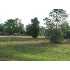 1291 Pankau Rd, Seguin, TX - MLS 135451