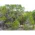 2621 Wolf Lair, New Braunfels, TX - MLS 153671
