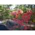 #25 Chimney Lane, Cleveland, GA - MLS 85472