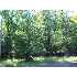 Lot 462 Martindale Mew, Lake Ariel, PA - MLS 09-4761