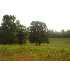 Lot 3 Webster Lake Road, Cleveland, GA - MLS 85638