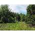 7220 568th St, Rock Creek, MN - MLS 3617662
