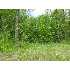 7261 568th St, Rock Creek, MN - MLS 3617653