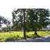 6059 Marshall Foch, New Orleans, LA - MLS 766658