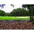 7 Beachwood Drive, Hilton Head Island, SC - MLS 252925