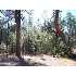 128 WINGFIELD Way, Strawberry, AZ - MLS 57237