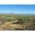 11 Walnut Springs Boulevard, Tonto Basin, AZ - MLS 57260