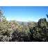 1014 N Mudsprings Rd., Payson, AZ - MLS 57297