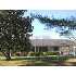 3423 Pines Rd, Paducah, KY - MLS 48627