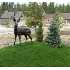 704 Deer Forest Drive, McCall, ID - MLS 426214