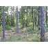 1031 TAPPENS PLACE, GREENSBORO, GA - MLS 21164