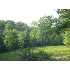 160 Harvey Gosnell Road, Campobello, SC - MLS 170299